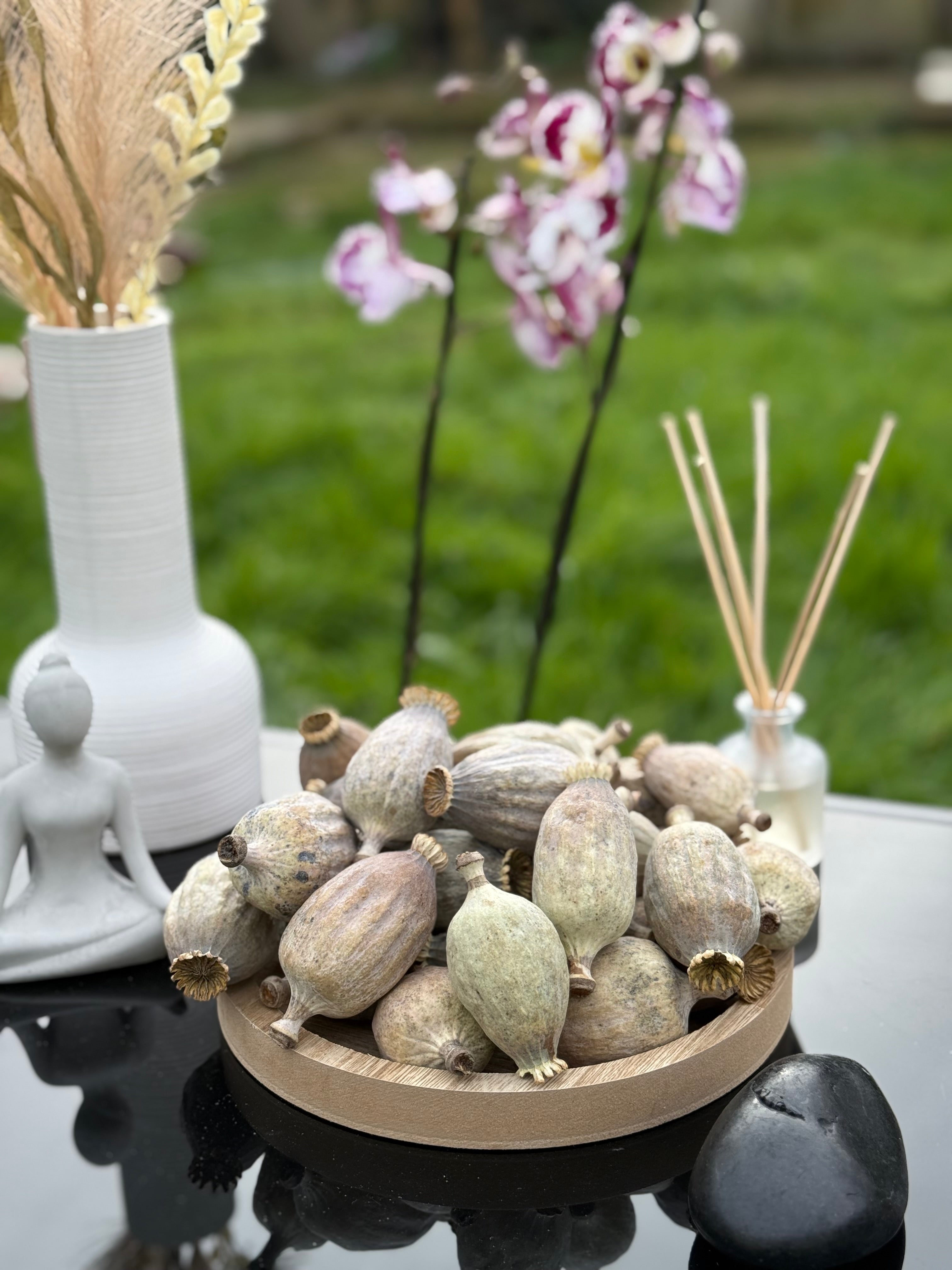 British Dried Poppy Heads (Seeded Pods) XL